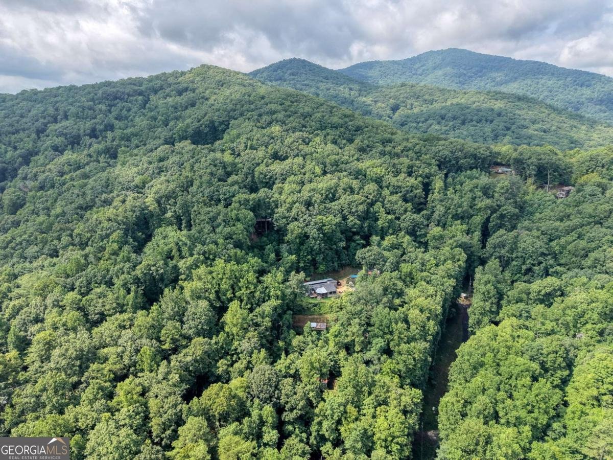8223 True Love Mountain Road Young Harris - Photo 26