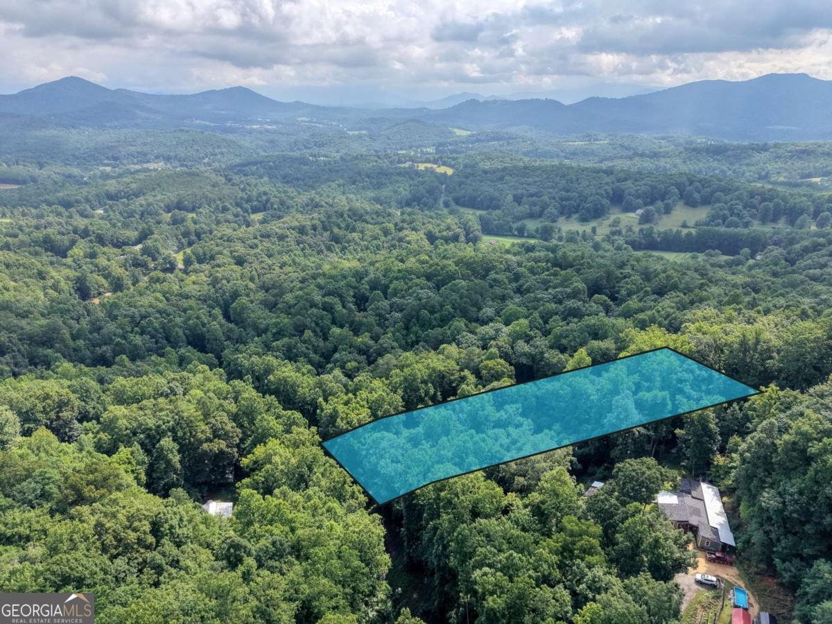 8223 True Love Mountain Road Young Harris - Photo 27