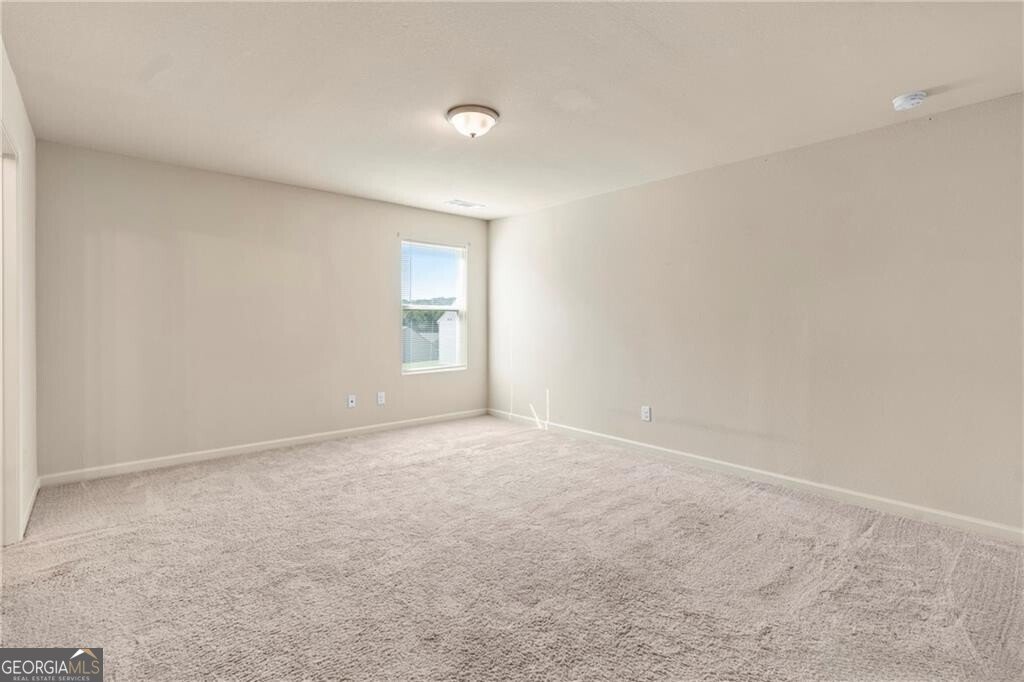 337 Darling Lane Pendergrass - Photo 14