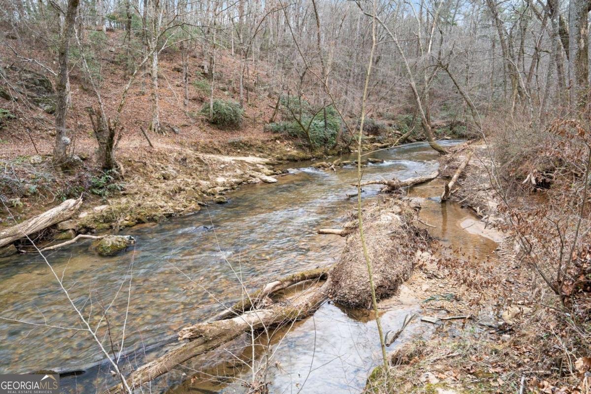 2636 Misty Creek Lane Young Harris - Photo 36