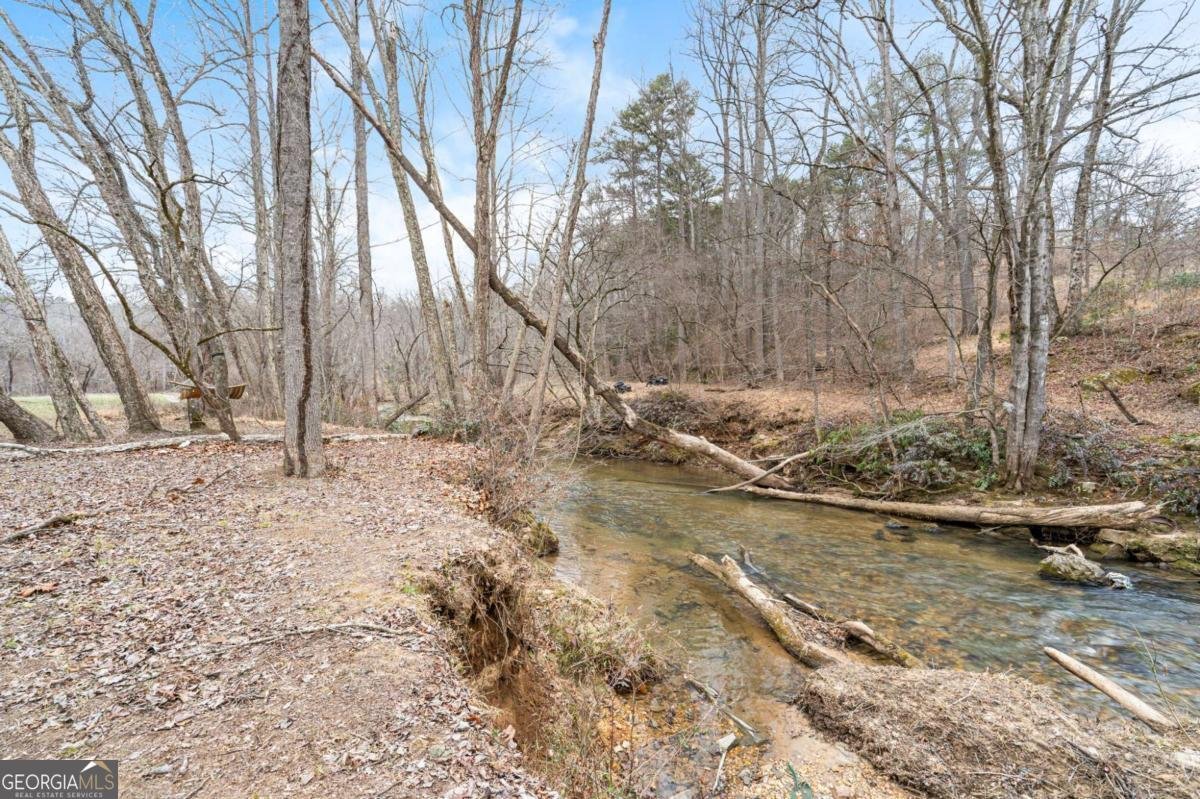 2636 Misty Creek Lane Young Harris - Photo 39
