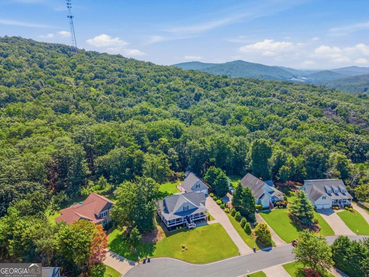 41 Clearview Drive Cartersville - Photo 58