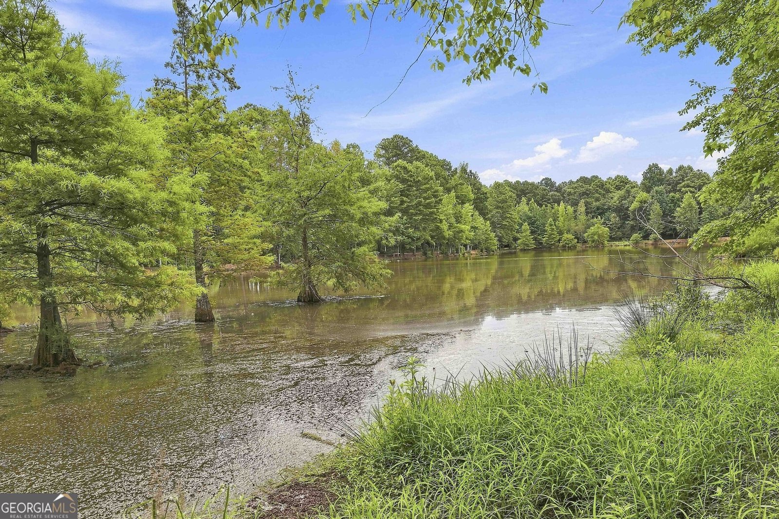 117 Thomaston St Newnan - Photo 39