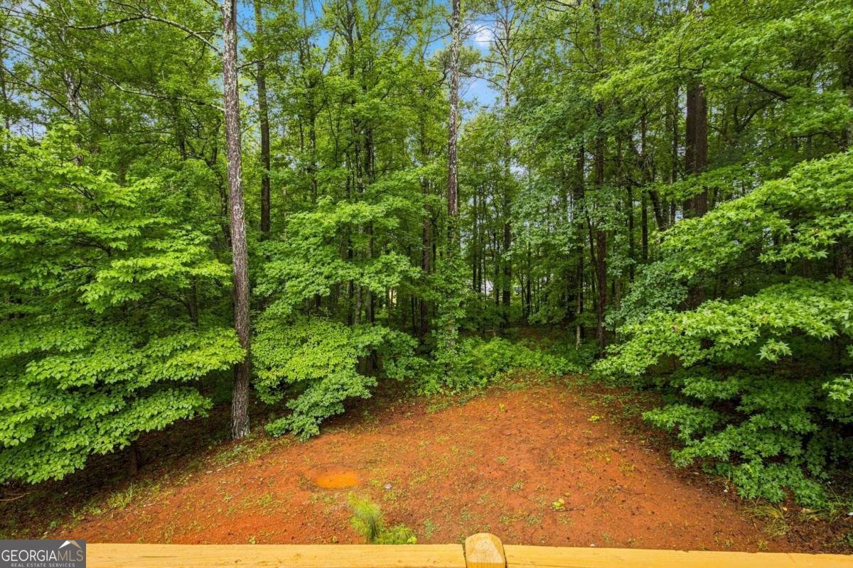 1685 Cedar Hill Douglasville - Photo 37