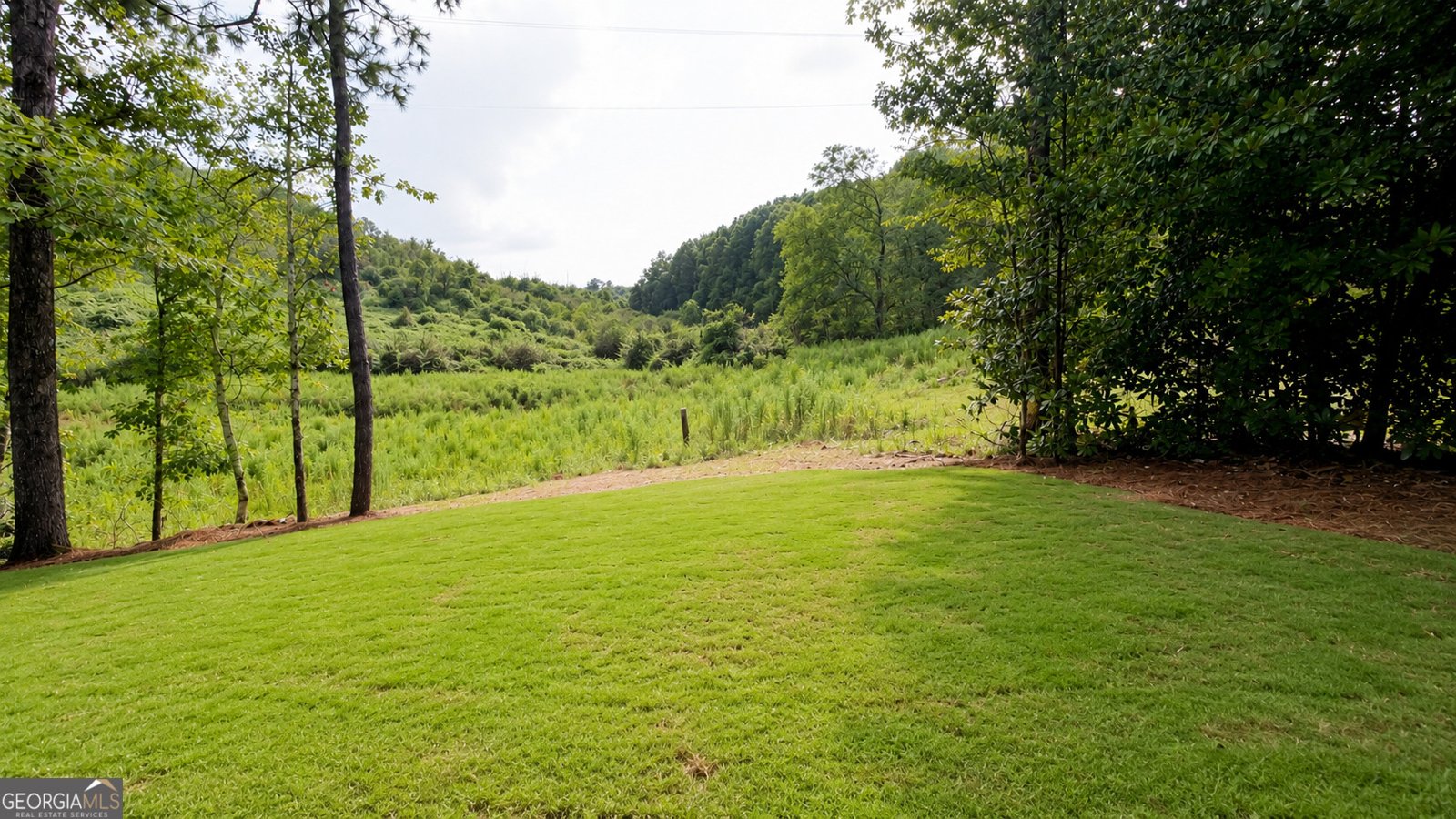 654 Bald Ridge Circle Demorest - Photo 22