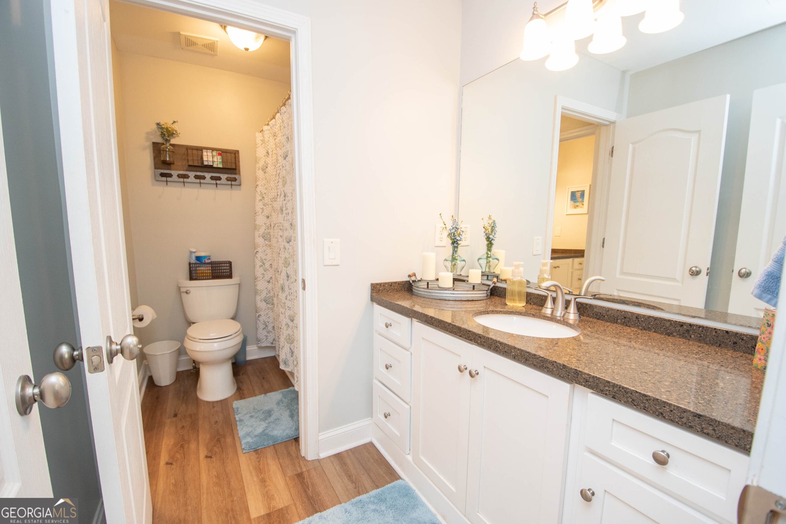 140 Blue Heron Boulevard Senoia - Photo 42