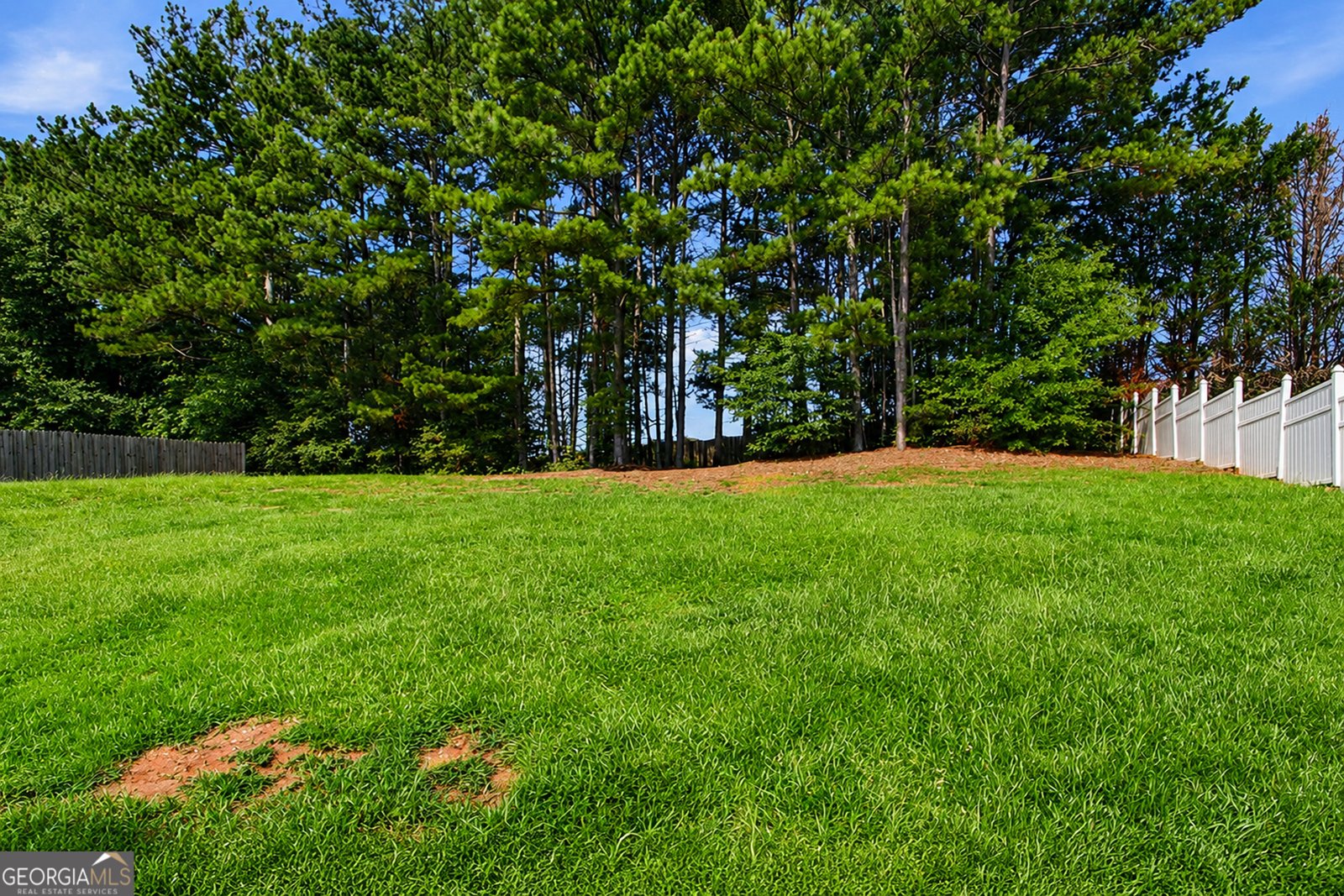 225 Avonlea Drive Covington - Photo 39