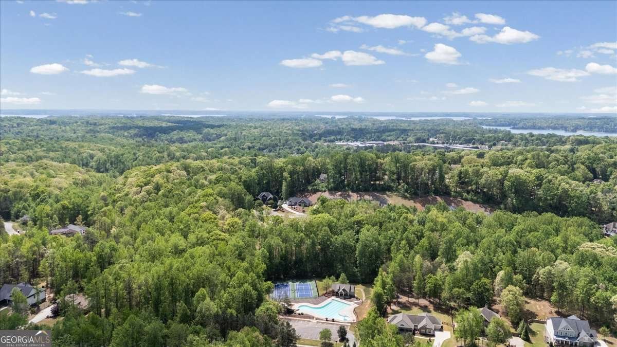 7610 Scenic Overlook Cumming - Photo 63