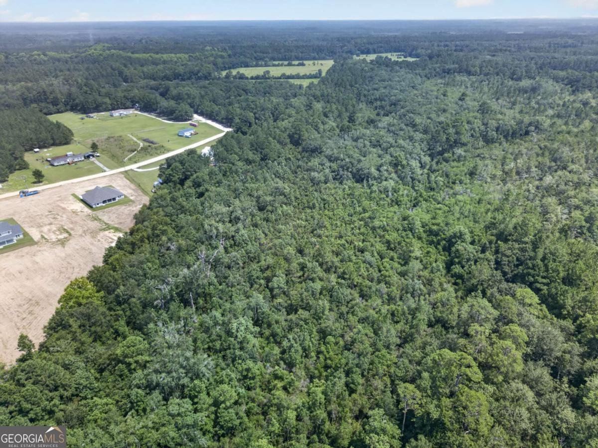 481 S T Morris Road Ludowici - Photo 45
