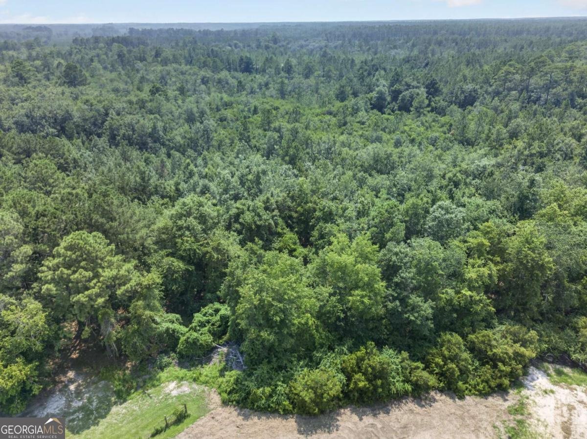481 S T Morris Road Ludowici - Photo 46