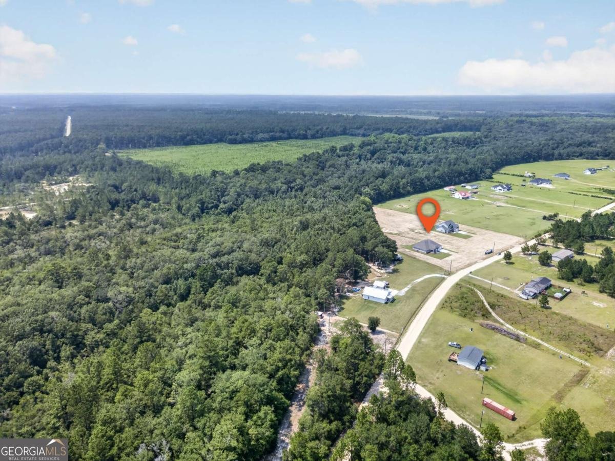 481 S T Morris Road Ludowici - Photo 47