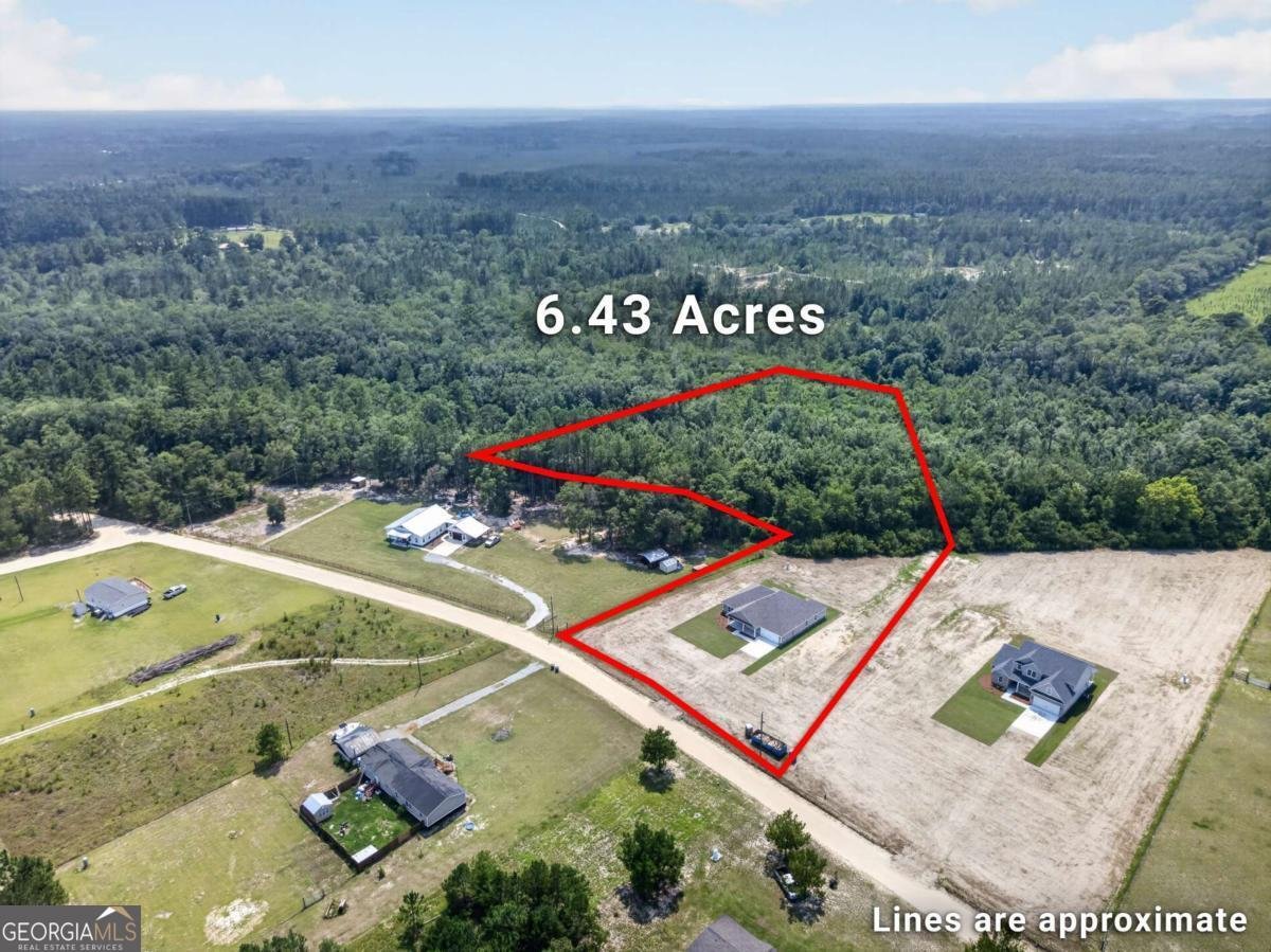 481 S T Morris Road Ludowici - Photo 6