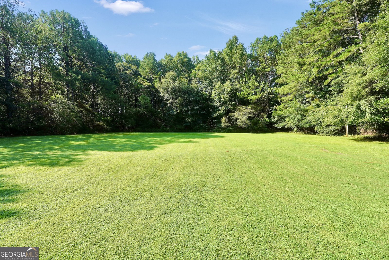 162 Roseberry Drive Stockbridge - Photo 49