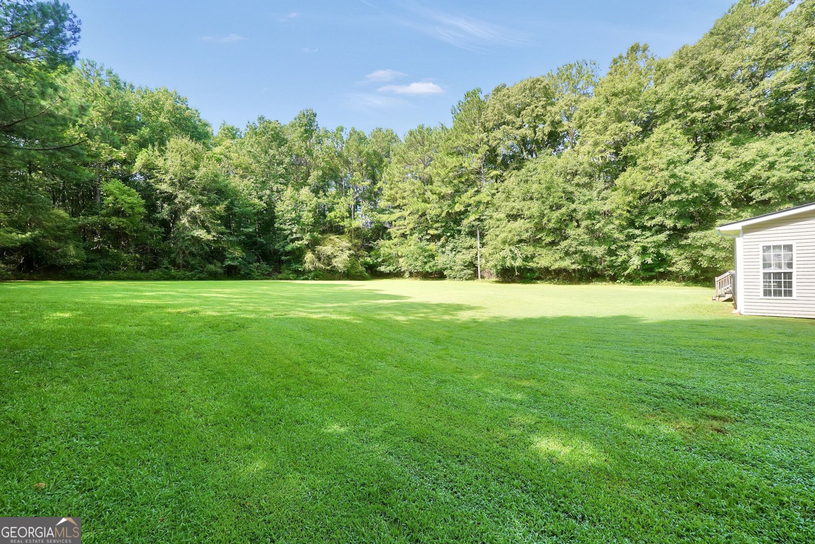 162 Roseberry Drive Stockbridge - Photo 51