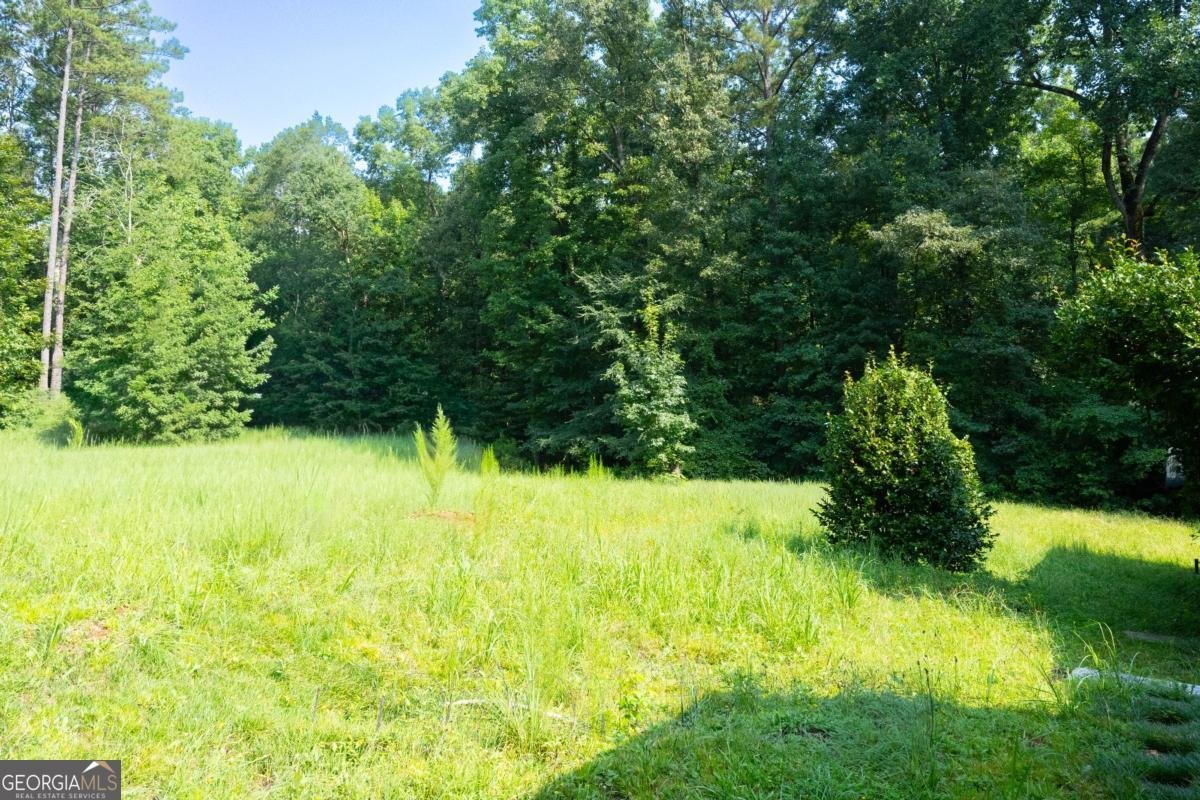 2911 Happy Hollow Drive Conyers - Photo 22