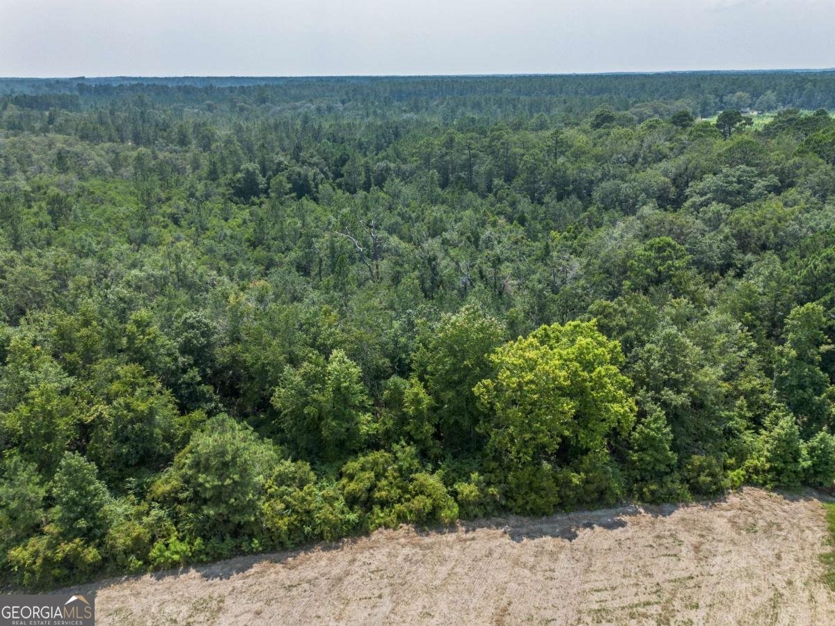 523 S T Morris Road Ludowici - Photo 57