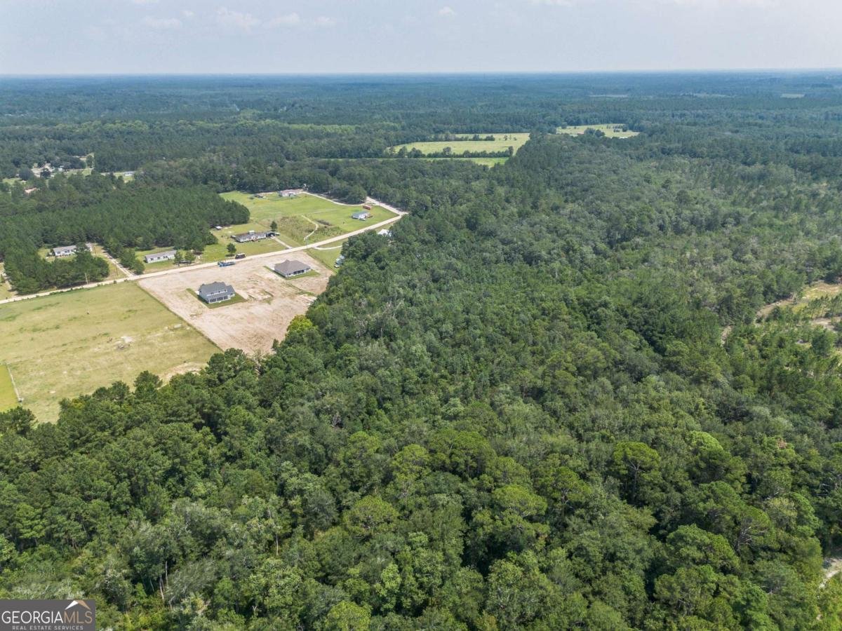 523 S T Morris Road Ludowici - Photo 58
