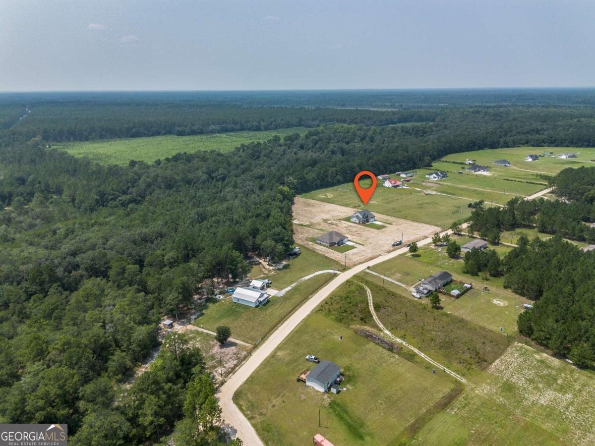 523 S T Morris Road Ludowici - Photo 59