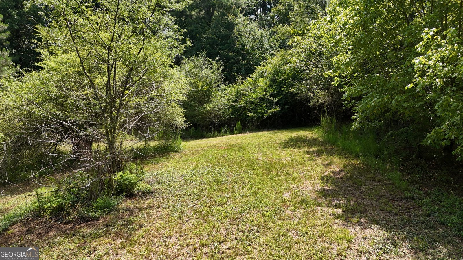 3729 Duncan Bridge Road Cornelia - Photo 44