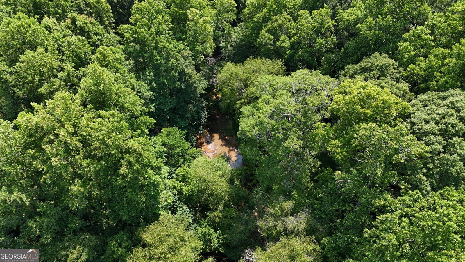 3729 Duncan Bridge Road Cornelia - Photo 45