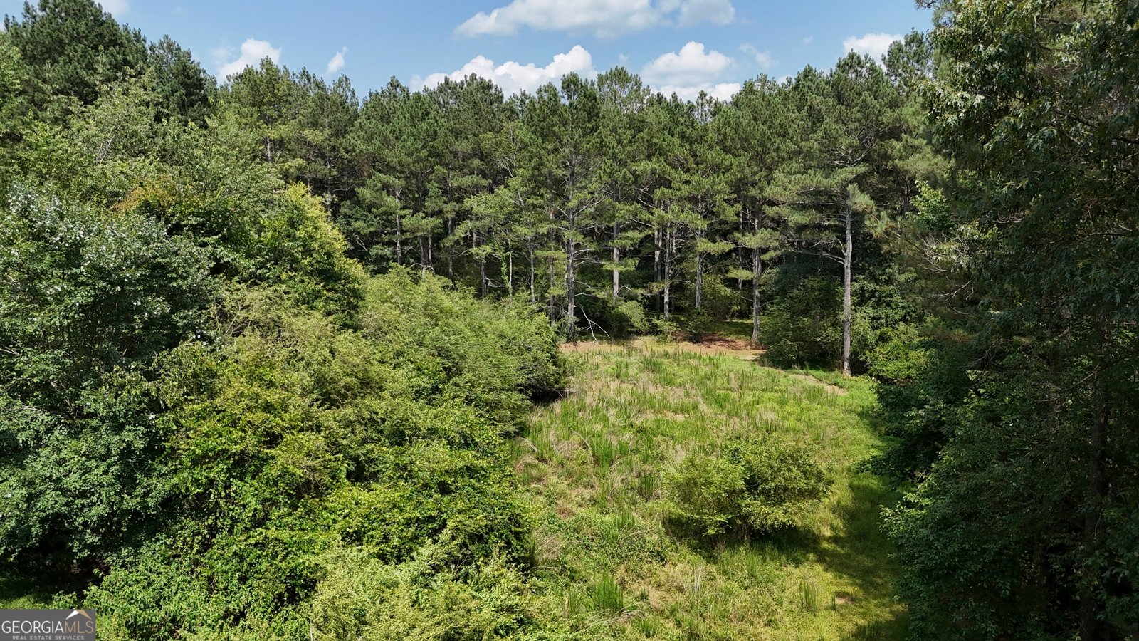 3729 Duncan Bridge Road Cornelia - Photo 48