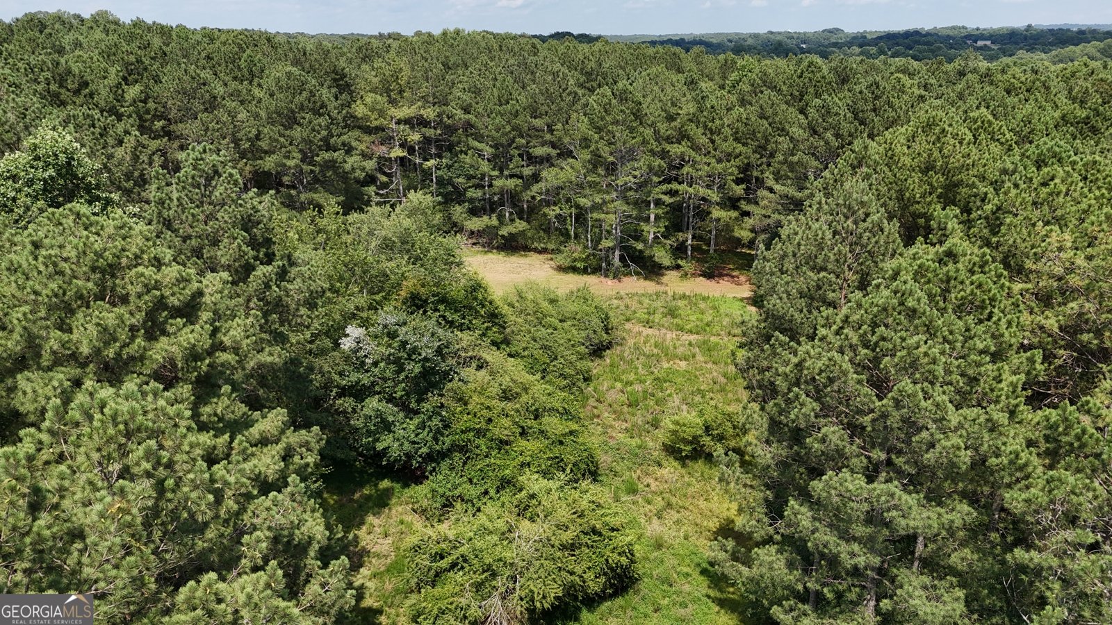 3729 Duncan Bridge Road Cornelia - Photo 50