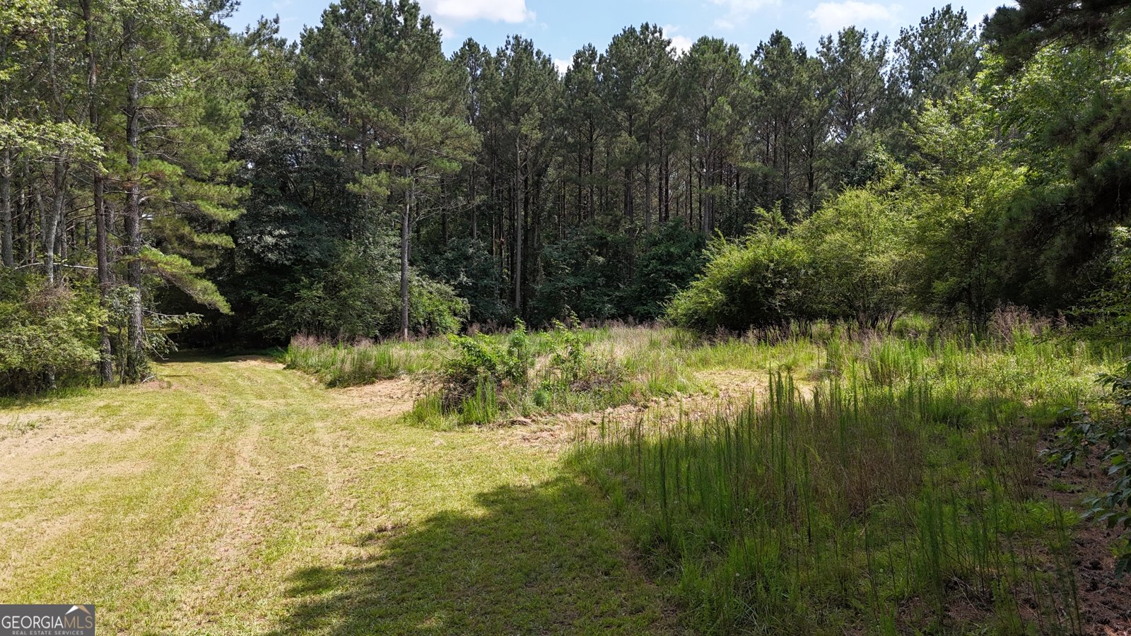 3729 Duncan Bridge Road Cornelia - Photo 51