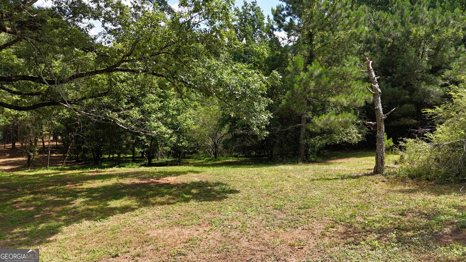 3729 Duncan Bridge Road Cornelia - Photo 52