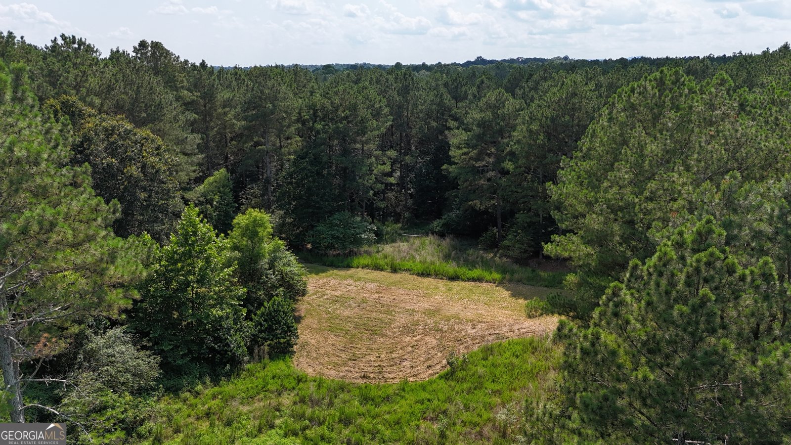 3729 Duncan Bridge Road Cornelia - Photo 53