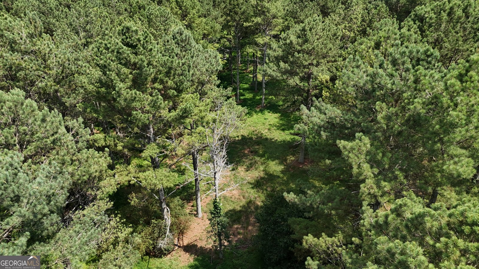 3729 Duncan Bridge Road Cornelia - Photo 54