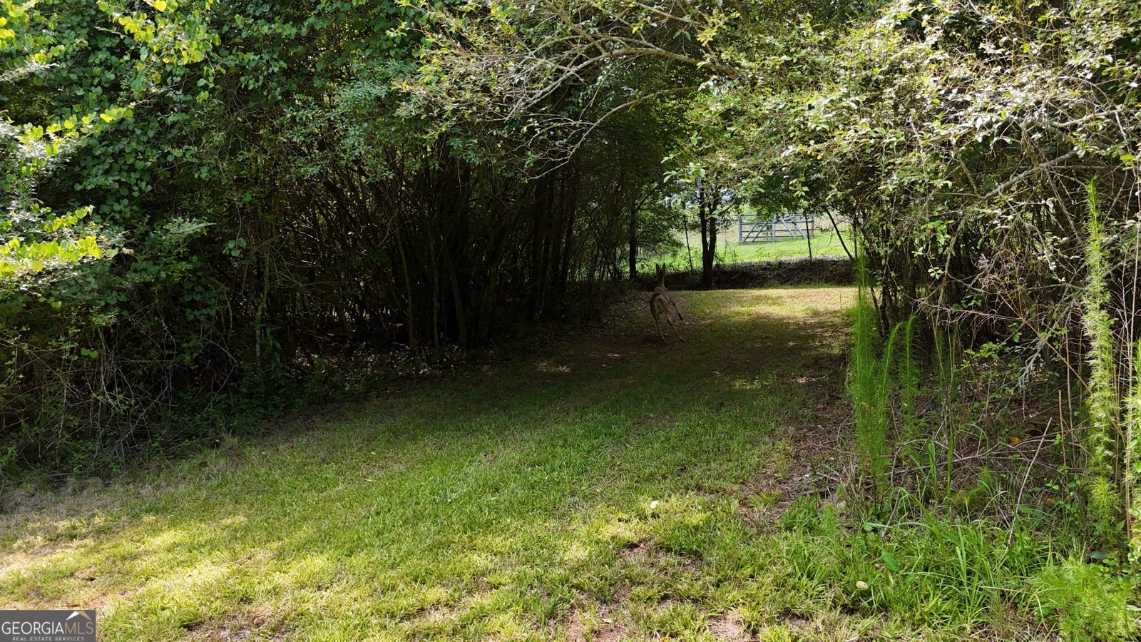3729 Duncan Bridge Road Cornelia - Photo 57