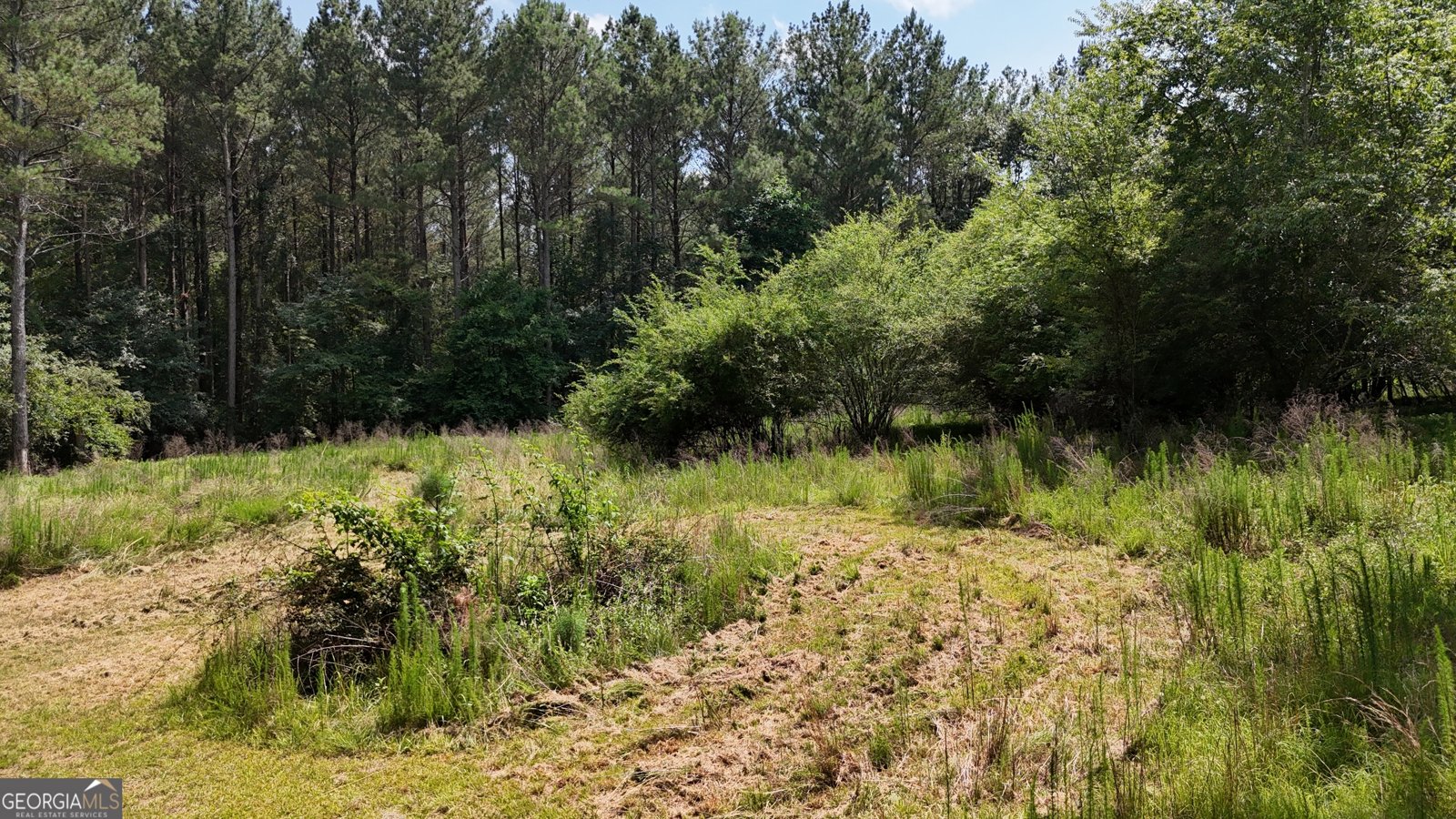 3729 Duncan Bridge Road Cornelia - Photo 60
