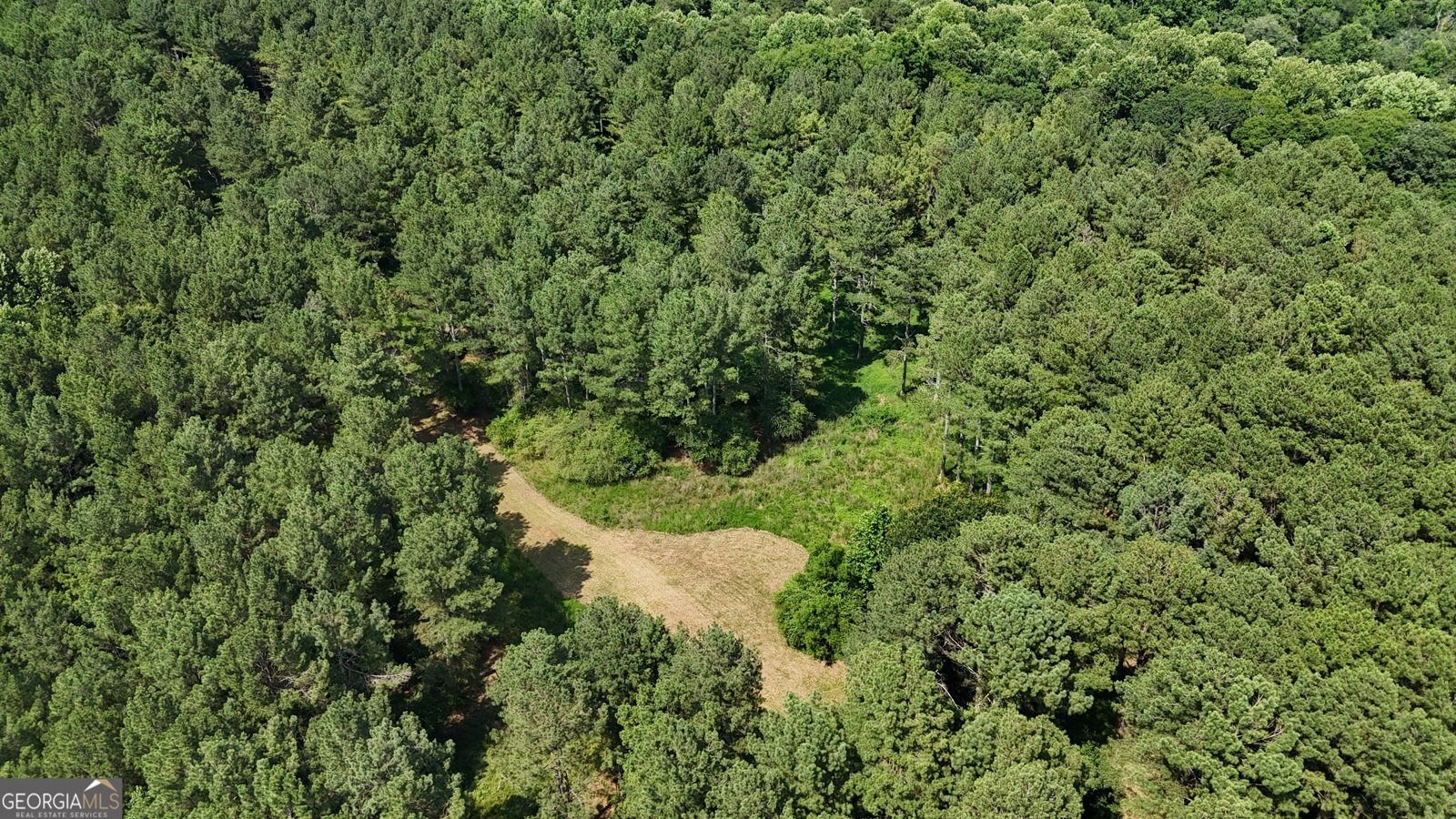 3729 Duncan Bridge Road Cornelia - Photo 62