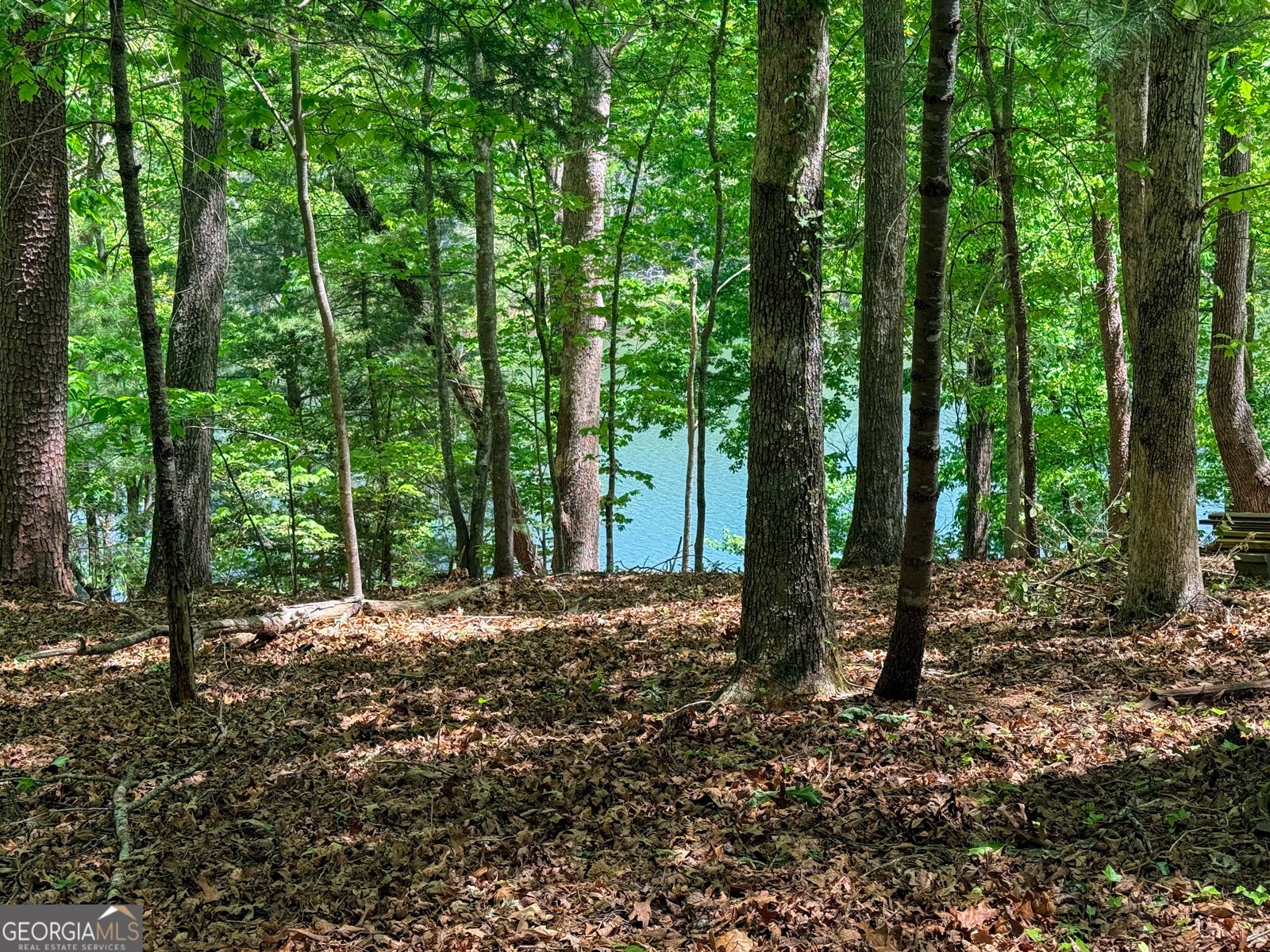 51 Mountain Park Boulevard Cleveland - Photo 20
