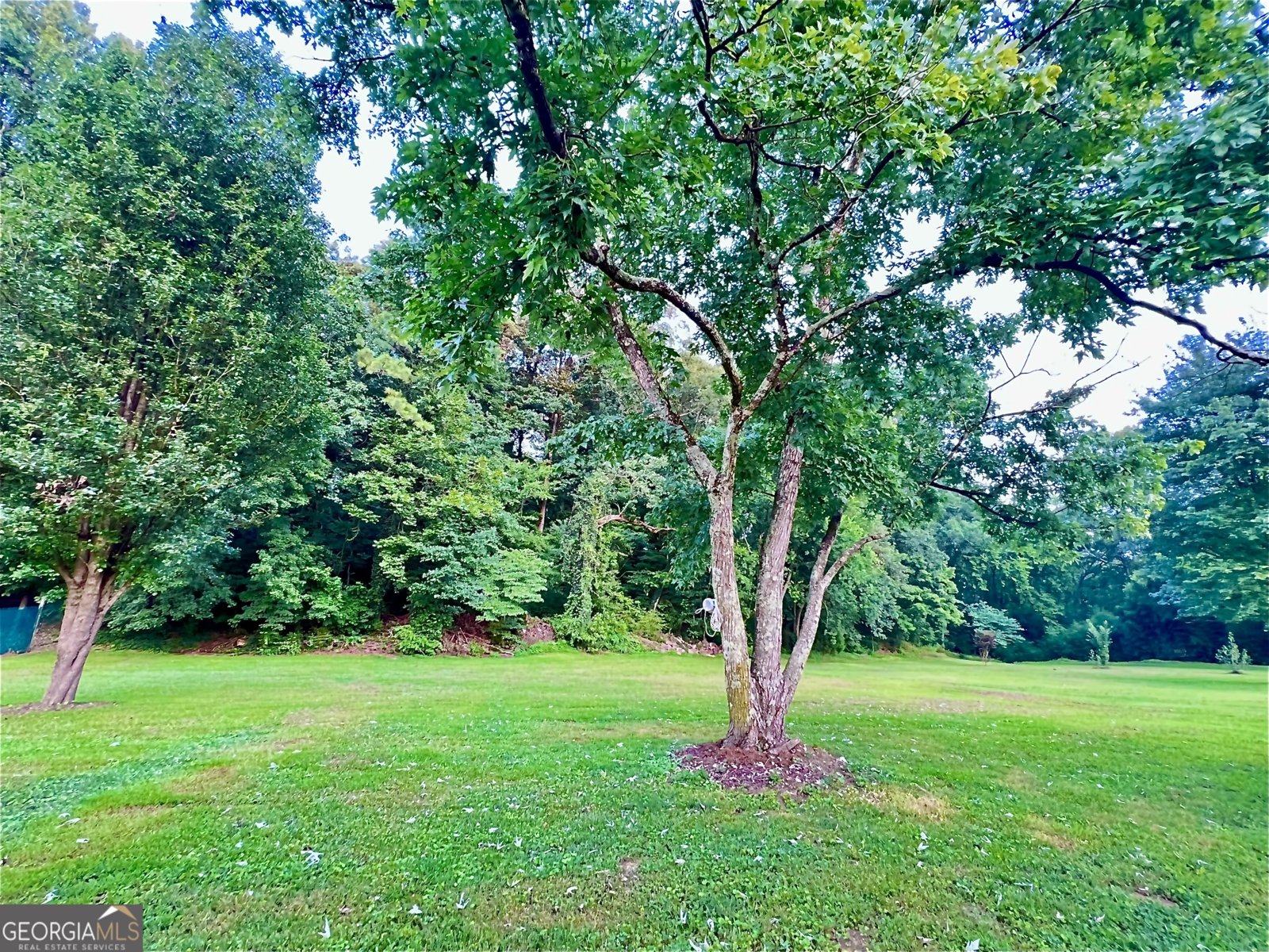 1517 Cave Spring Road Rome - Photo 7