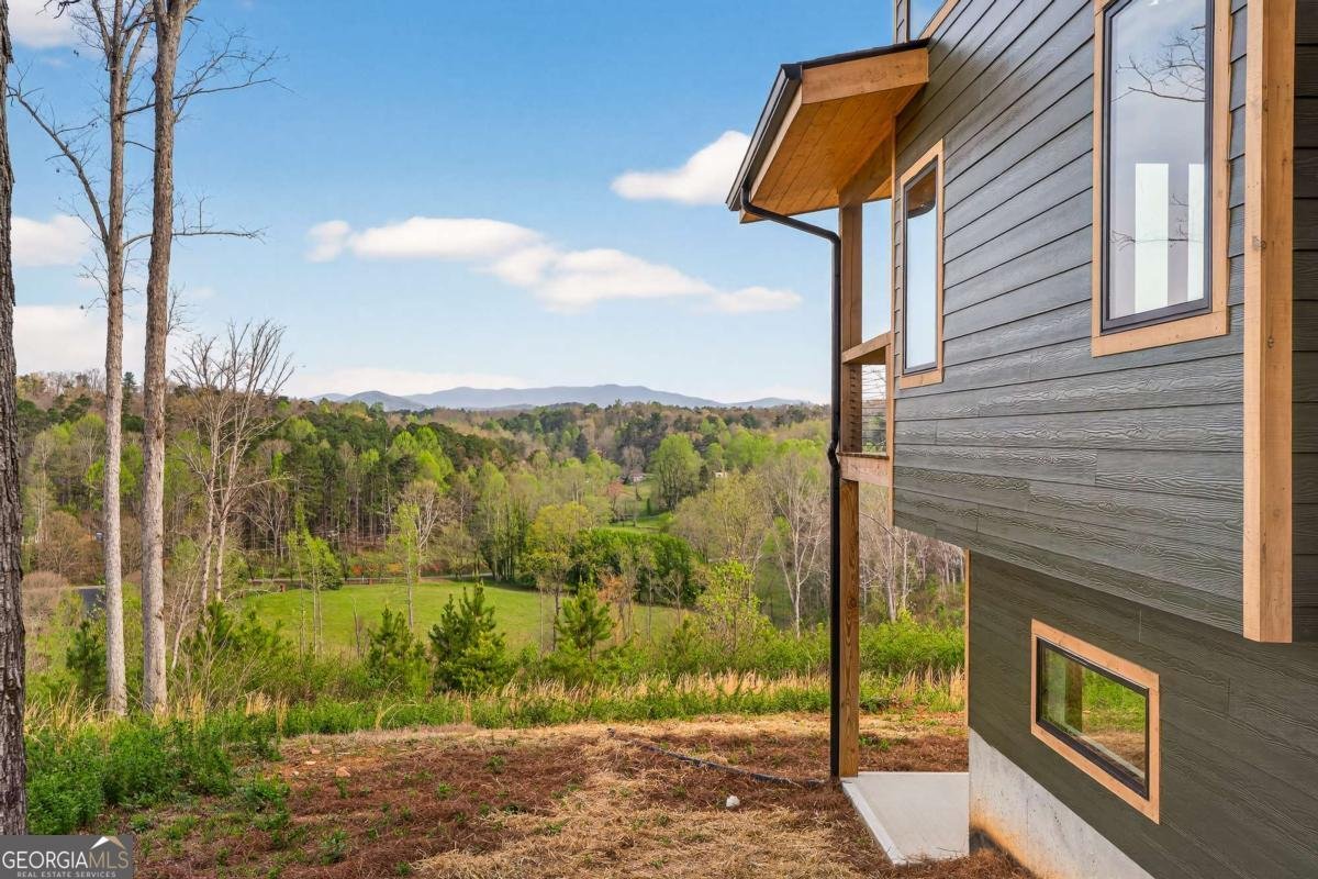 251 Mystic Drive Ellijay - Photo 52