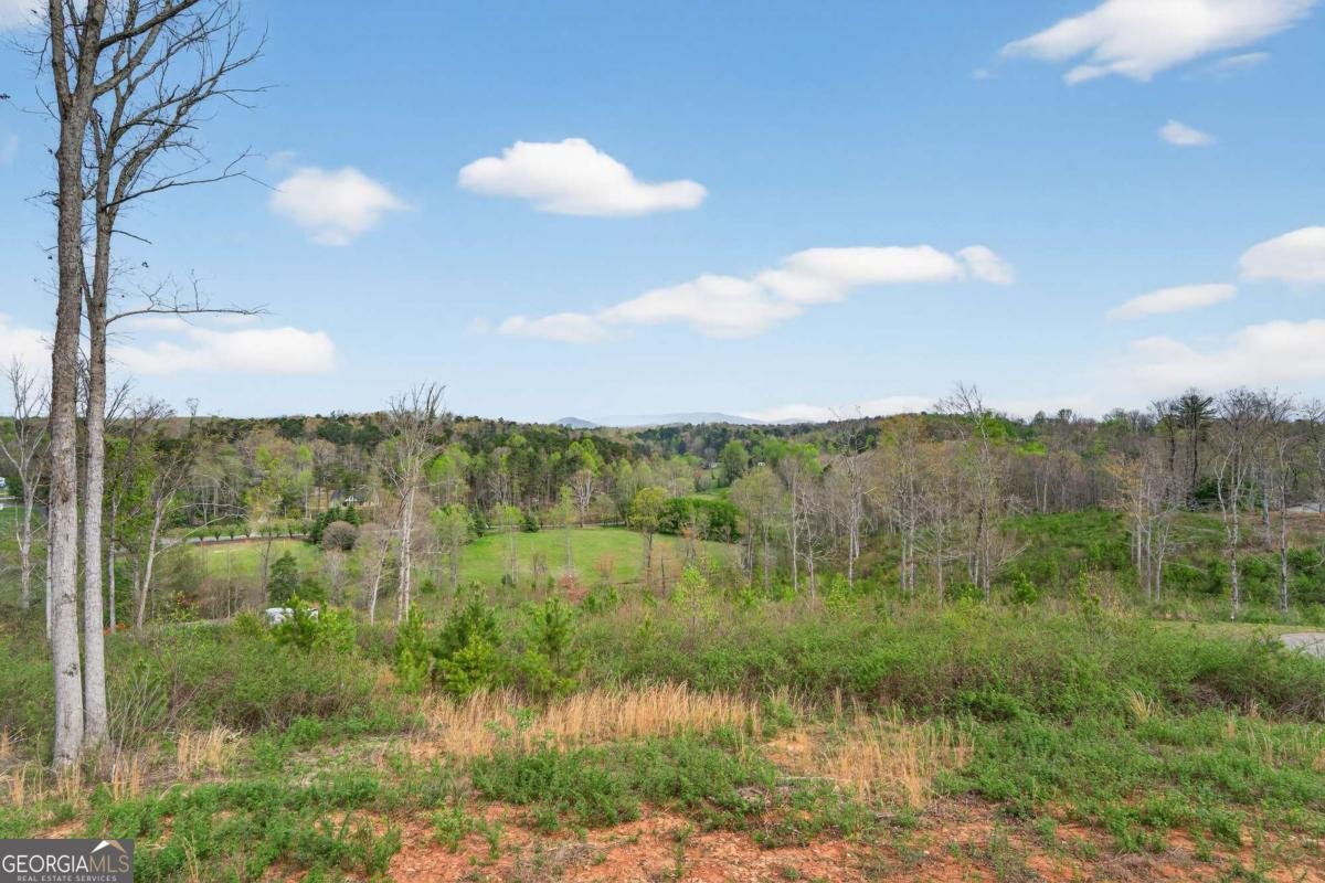 251 Mystic Drive Ellijay - Photo 57