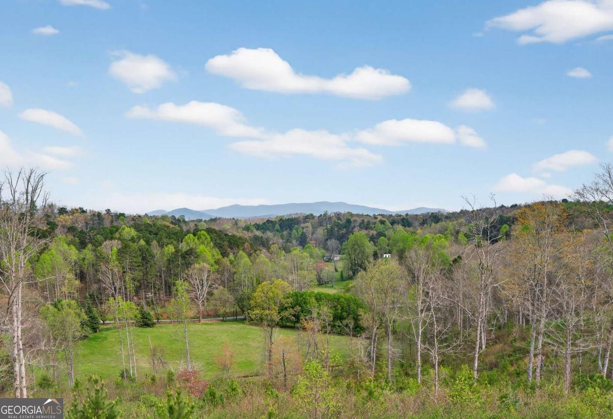 251 Mystic Drive Ellijay - Photo 58