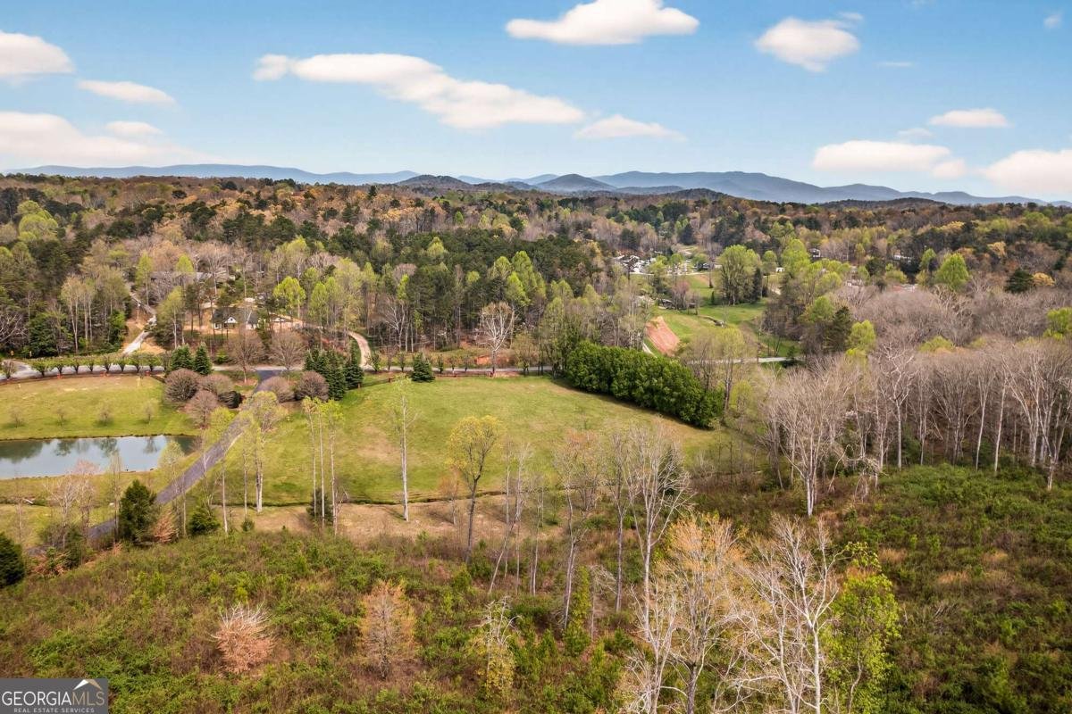 251 Mystic Drive Ellijay - Photo 59