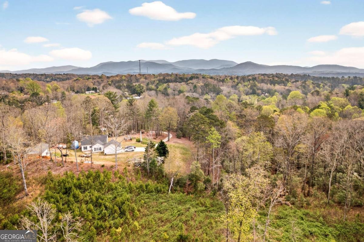 251 Mystic Drive Ellijay - Photo 60