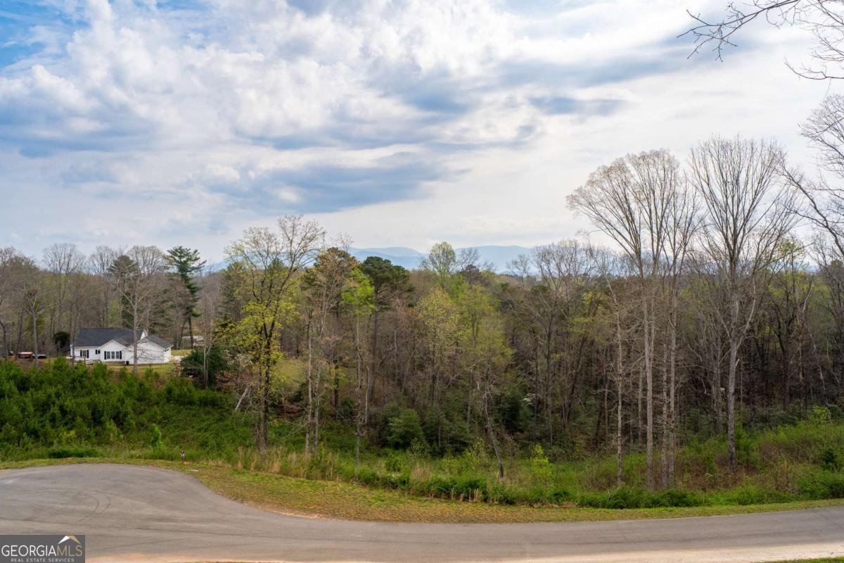 251 Mystic Drive Ellijay - Photo 67