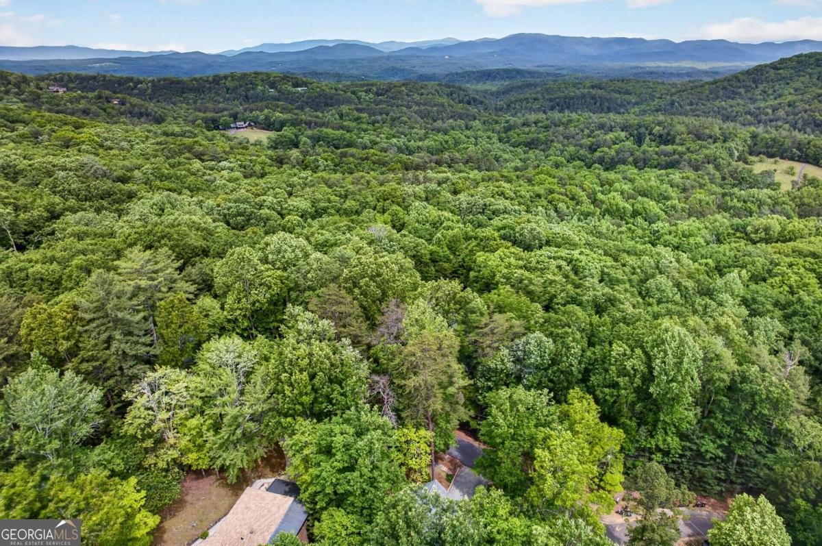 747 Mountain Oak Road Ellijay - Photo 54