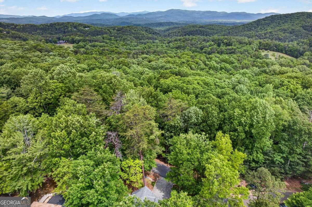 747 Mountain Oak Road Ellijay - Photo 55