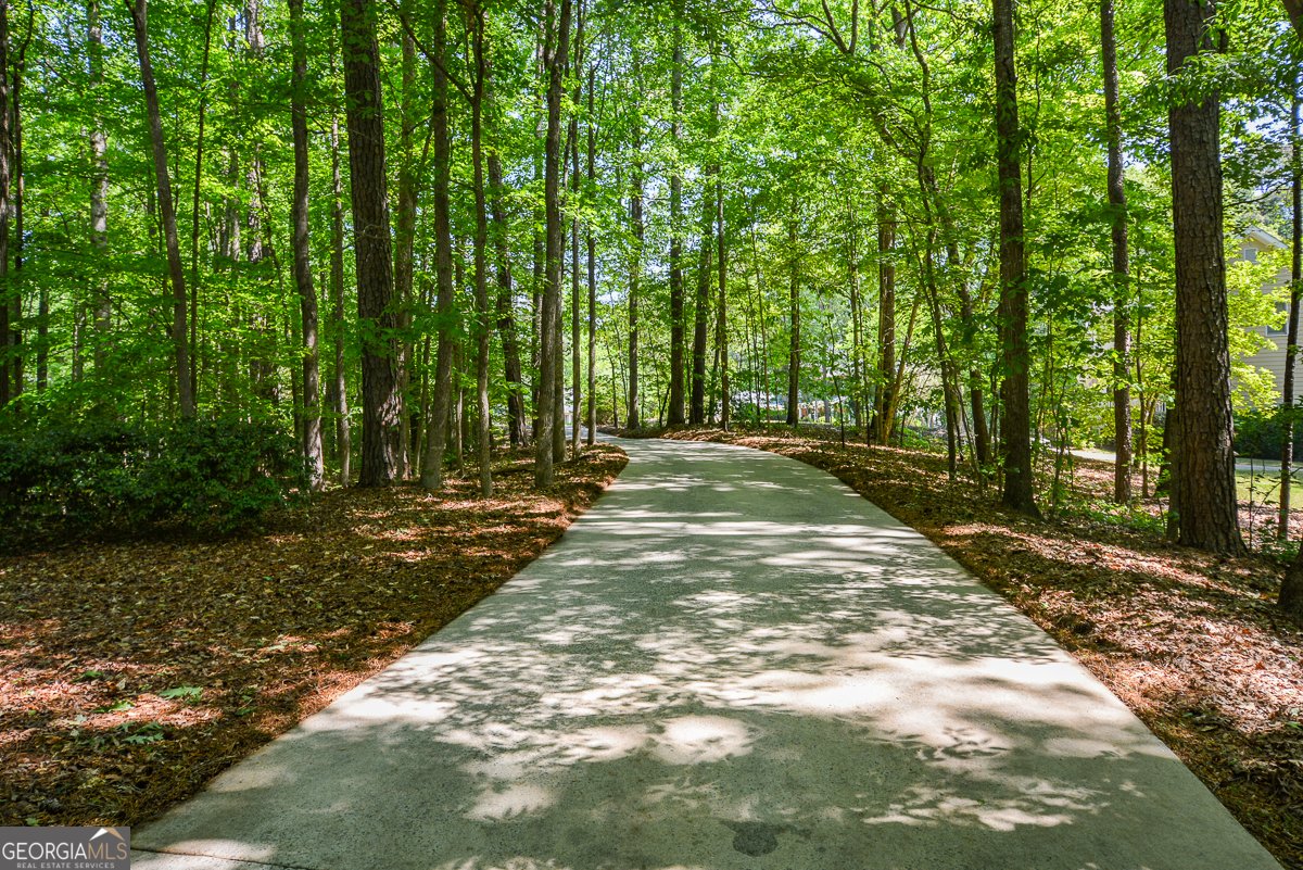 4299 Windham Court Douglasville - Photo 59