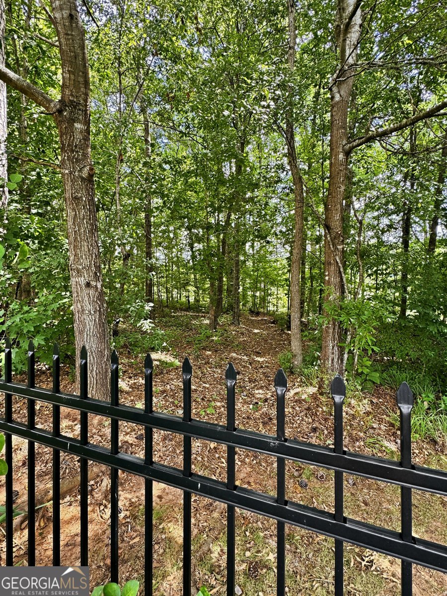 1141 Pebble Creek Lane Locust Grove - Photo 53
