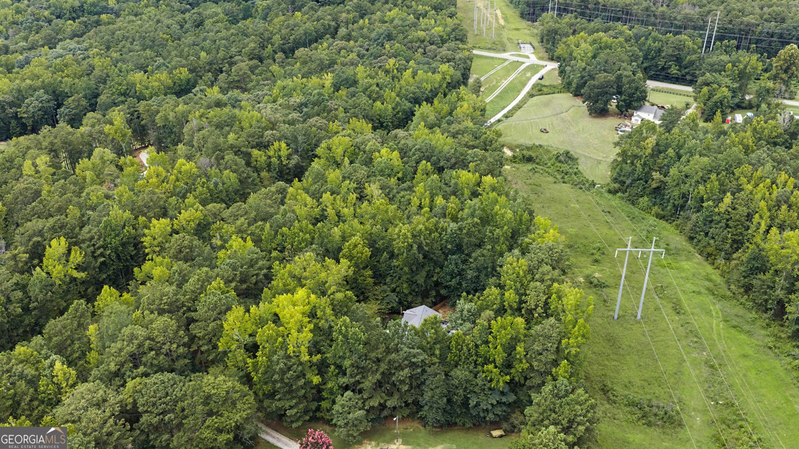 1049 Millard Farmer Road Newnan - Photo 39
