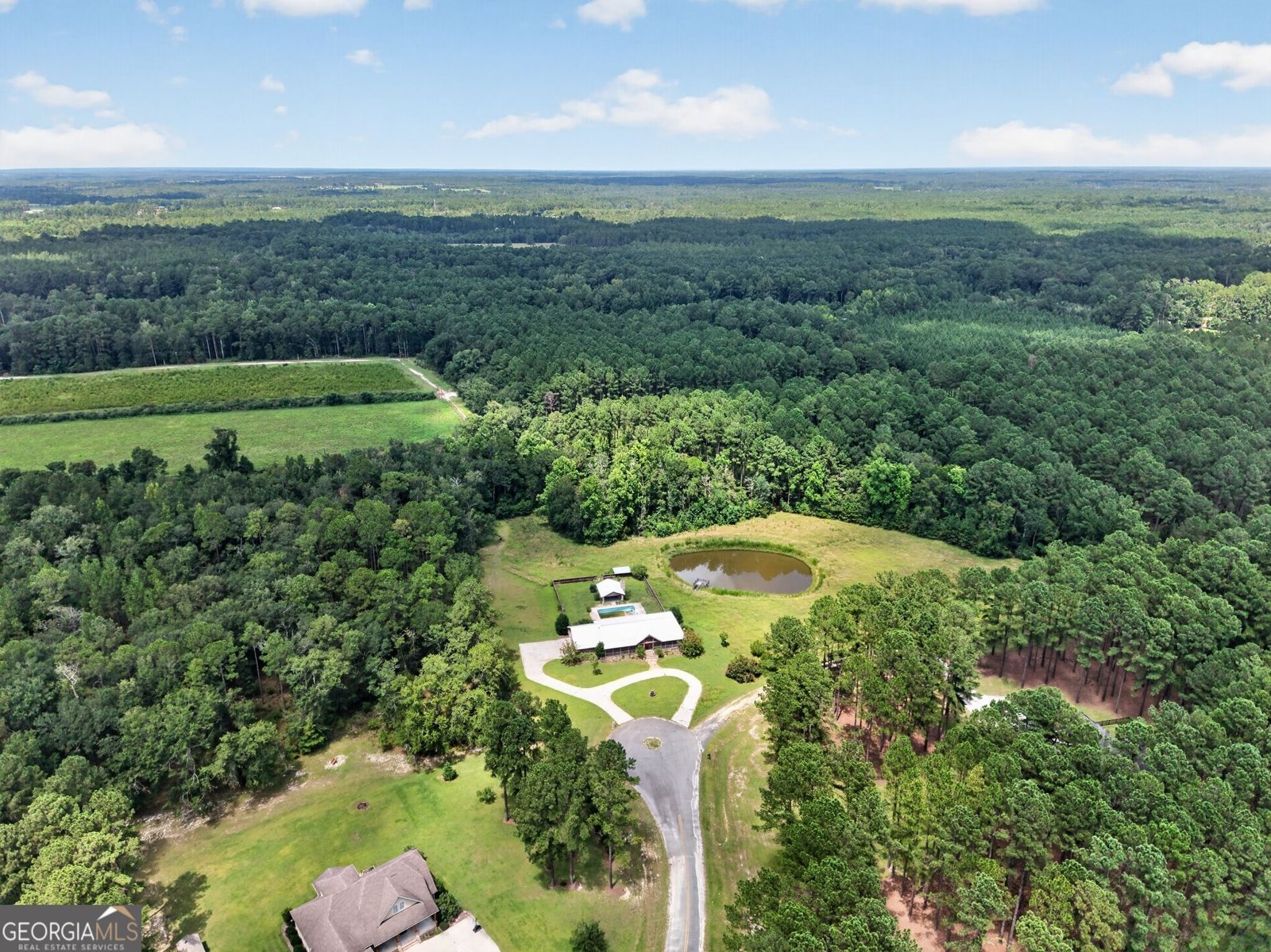 1293 Pine Ridge Drive Claxton - Photo 51