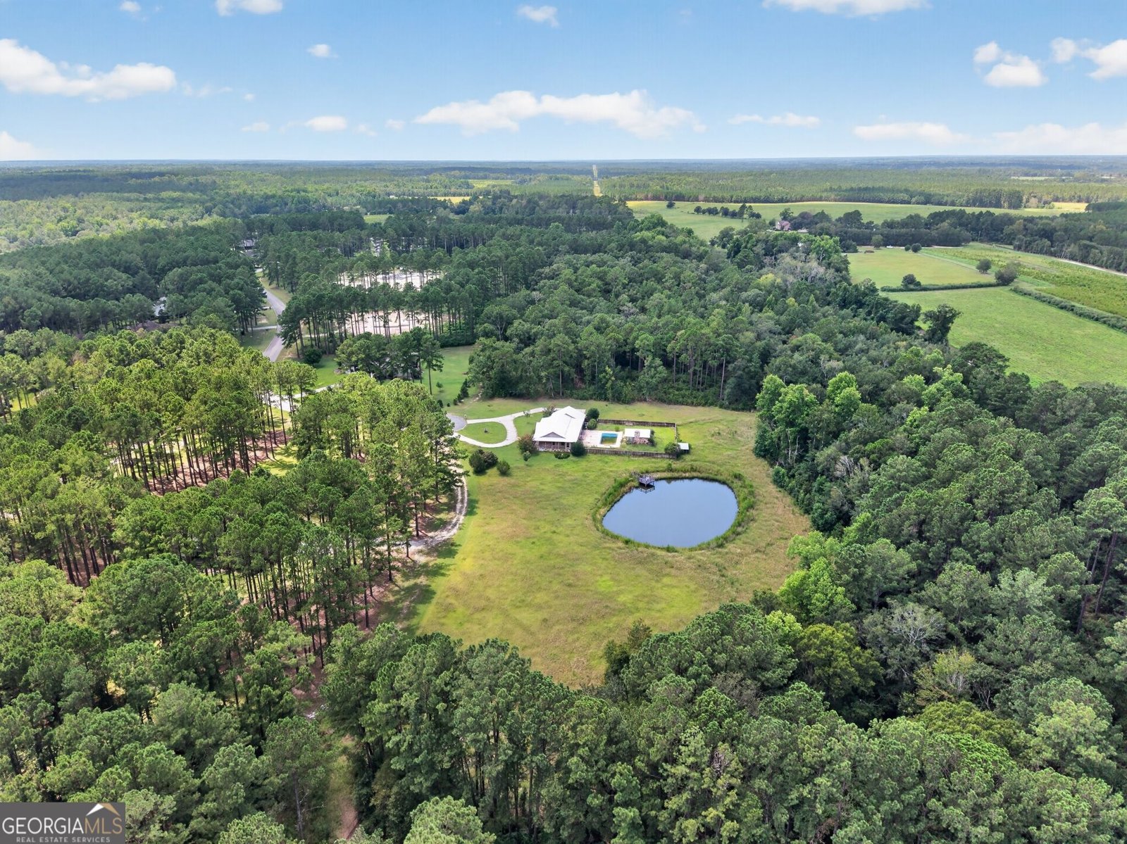 1293 Pine Ridge Drive Claxton - Photo 54
