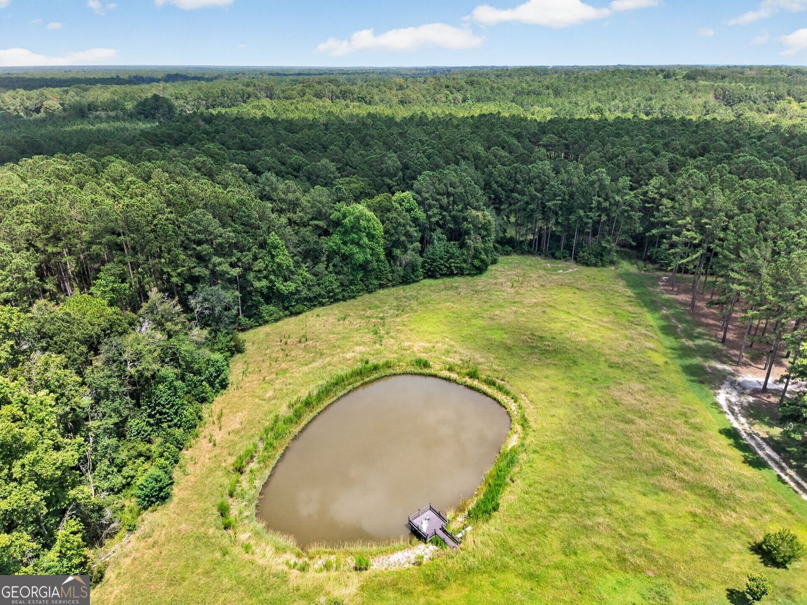 1293 Pine Ridge Drive Claxton - Photo 56