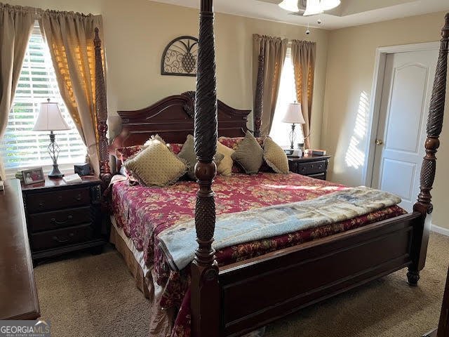 325 Towler Drive Loganville - Photo 9